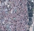 /en/burgas-en/29245-new-route-from-burgas-visit-vienna-the-most-livable-city-on-the-planet